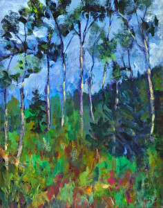 Aspen Forest   Acrylic Prints Available